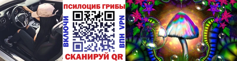 Псилоцибиновые грибы GOLDEN TEACHER  Абаза 
